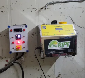 Ethylene sensor integrated with mini ripe ethylene generator for fruit ripening