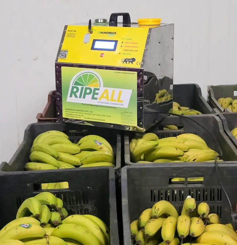 banana colour quality after using ethylene generator for ripening