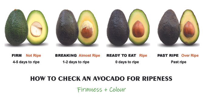 Avocado ripening chart