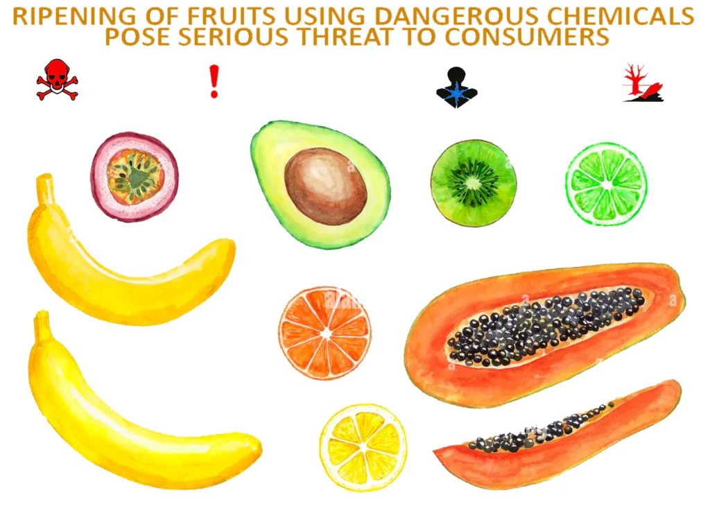 fruit ripening using harmful chemicals. the most common fruits being ripened using harsh and dangerous chemicals