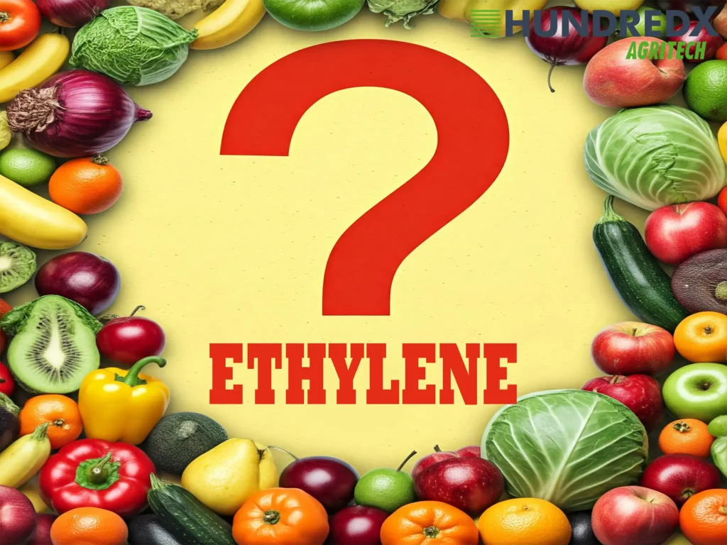 Top 5 Myths about ethylene gas