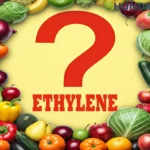 Top 5 Myths about ethylene gas